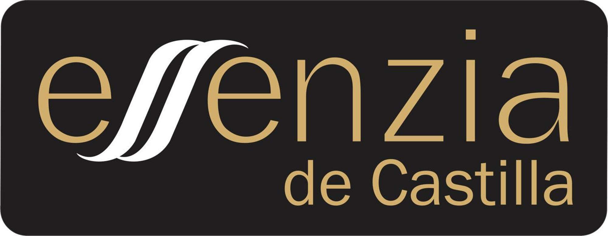 Aparthotel Essenzia De Castilla Aranda de Duero Extérieur photo